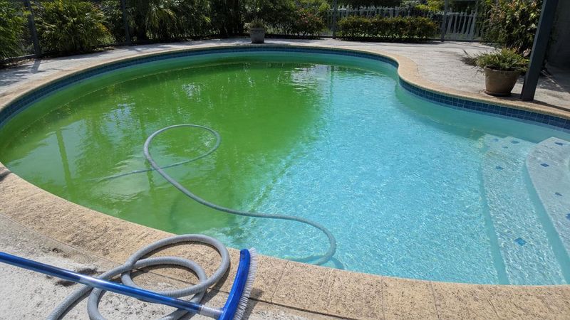 Algae-green pool water clearing to blue during a green-to-clean recovery
